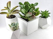 Succulent Planter Set of 4 | Geometric Concrete Pot Made of Concrete