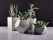 Concrete succulent planter set of 4 with geometrical indoor pots