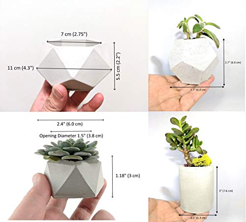 Geometric succulent planter set of 4 - Concrete plant pot for houseplants