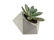 Tilting geometric succulent planter made of concrete