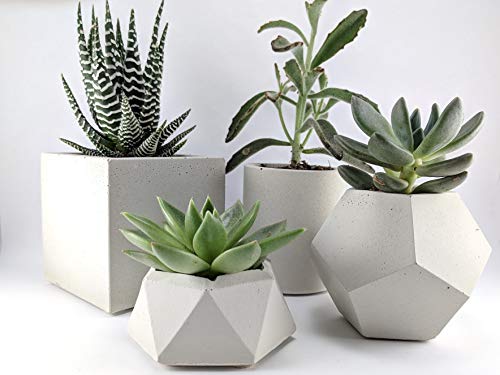 Concrete succulent planter set of 4 with geometrical indoor pots
