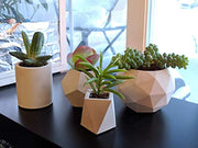 Geometric succulent planter set of 4 for indoor plants