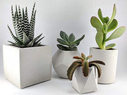 Succulent Planter Set of 4 | Geometric Concrete Pot Made of Concrete