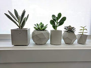 Succulent planter set of 5 made of concrete for Indoor Plants