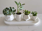 White concrete succulent planter set of 4 for houseplant