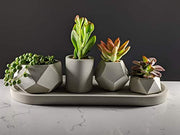 Geometric succulent planter set of 4 - Concrete plant pot for houseplants