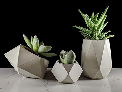 Geometric succulent planter set of 3 made of concrete for houseplants