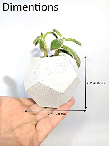 Geometric concrete succulent planter set of 3