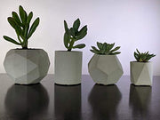 Geometric succulent planter set of 4 for indoor plants