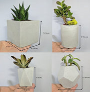 Succulent planter set of 5 made of concrete for Indoor Plants